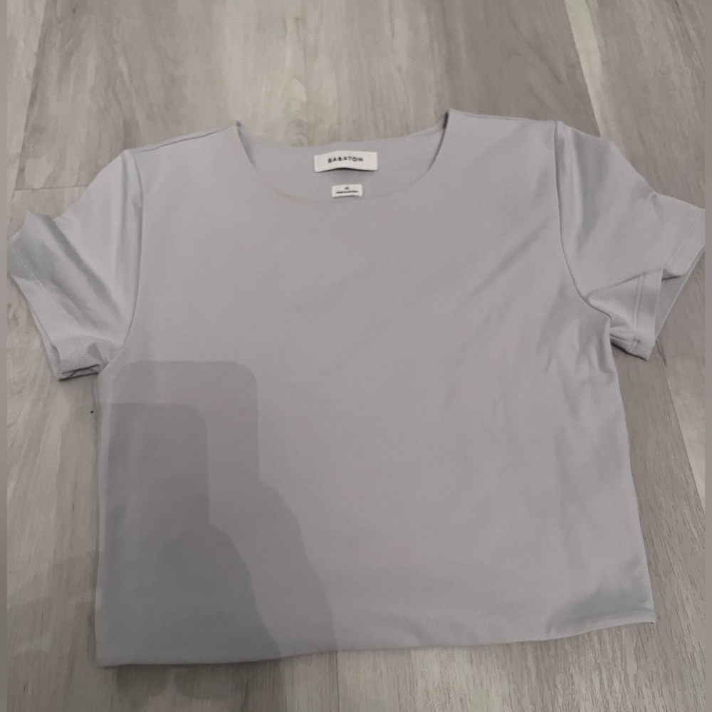 Aritzia Babaton top